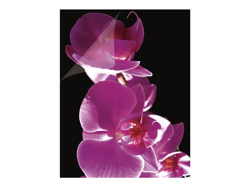 Imagelast+Laminating+Pouches+With+Uv+Protection%2C+3mil%2C+11+1%2F2+X+9%2C+25%2Fpack